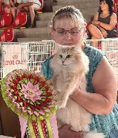 galleries/cats/141/24.jpg
