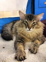 galleries/cats/166/7.jpg
