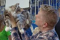 galleries/kittens/474/5.jpg