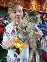 galleries/kittens/505/14.jpg