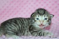 galleries/cats/167/10.jpg