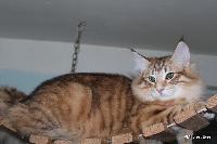 galleries/cats/167/13.jpg