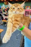 galleries/cats/167/17.jpg