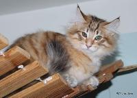 galleries/cats/167/3.jpg