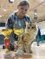 galleries/cats/167/5.jpg