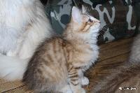 galleries/cats/167/9.jpg